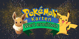Wie kann man den Pokemon Karten Wert ermitteln?