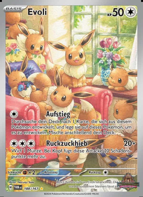 Pokemon Maskerade im Zwielicht