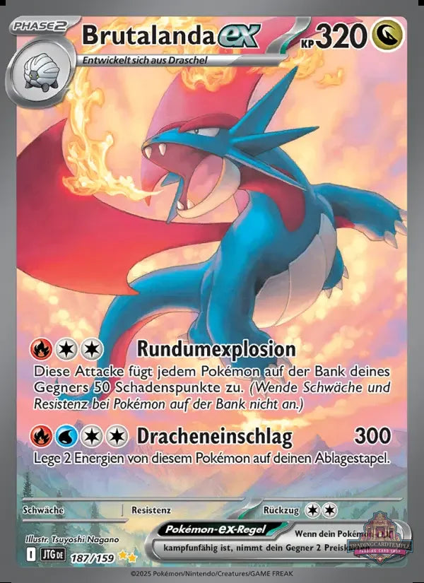 Pokemon Reisegefährten