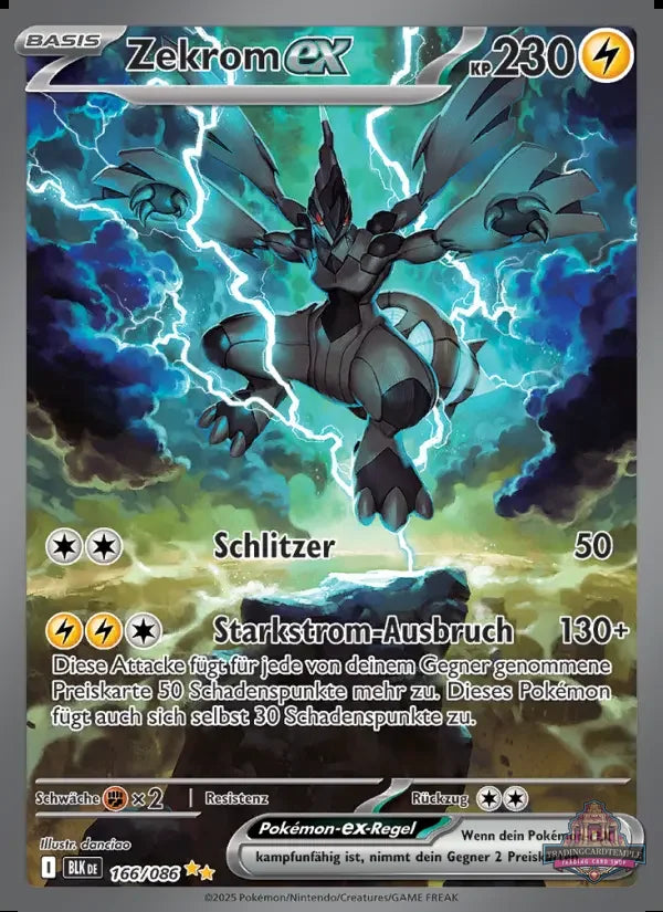 Pokemon Schwarze Blitze