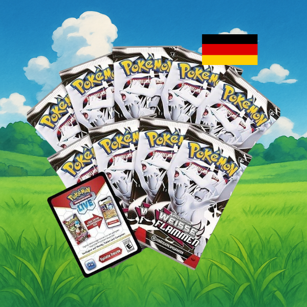 Top Trainer Box Weiße Flammen in Deutsch Inhalt