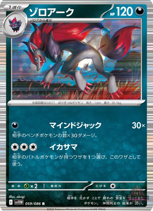 Sammelkarten Pokemon Zoroark 059/086 Holo